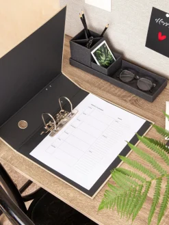 Bigso Box of Sweden Archivador Archie^ Material De Oficina|Material De Oficina