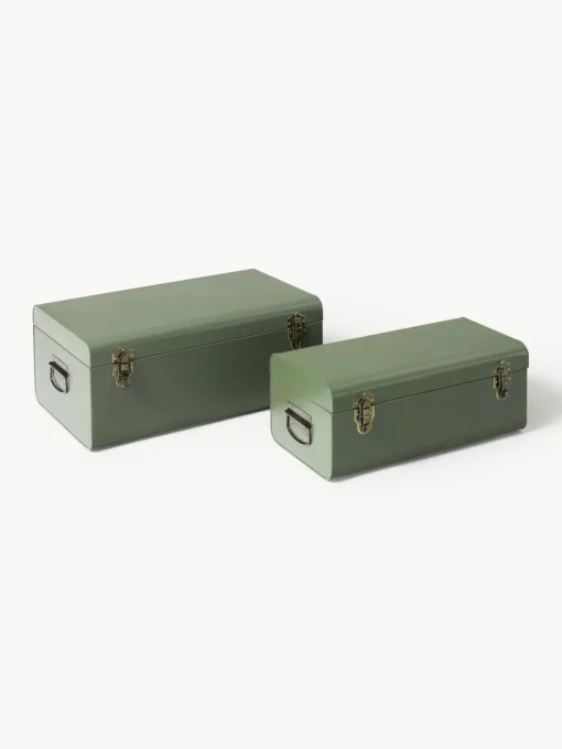 Westwing Collection Cajas de almacenamiento de metal Jonny, 2 uds.