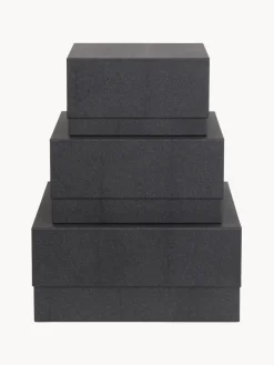 Bigso Box of Sweden Cajas Ilse, 3 uds.