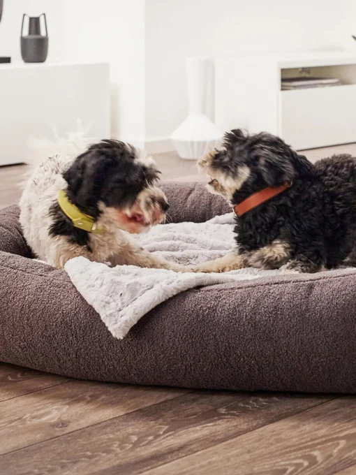 Laboni Cama para mascotas en tejido bouclé Teddy, tamaños diferentes^ Accesorios Para Animales|Jarrones