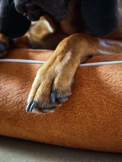 Laboni Cama para mascotas en terciopelo Buffalo, tamaños diferentes