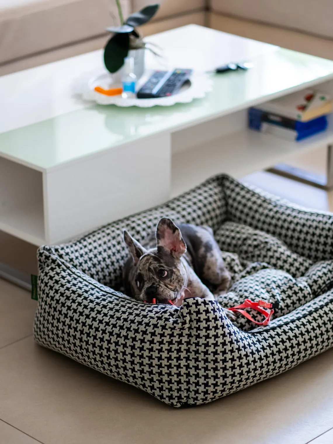 Dandy Dog Cama para mascotas Houndstooth, tamaños diferentes