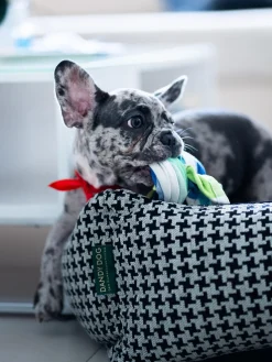 Dandy Dog Cama para mascotas Houndstooth, tamaños diferentes