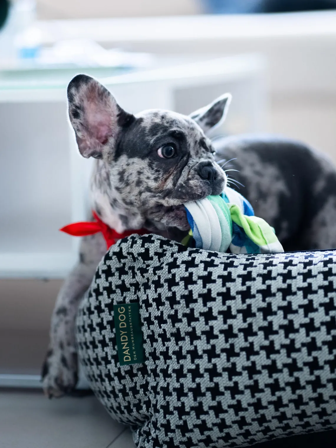 Dandy Dog Cama para mascotas Houndstooth, tamaños diferentes