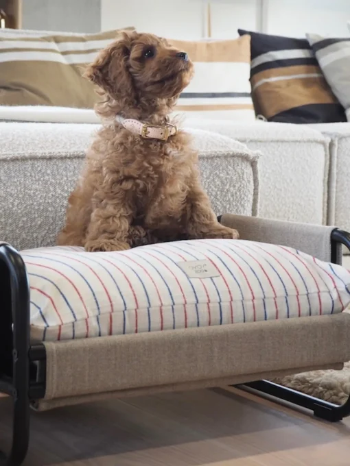 Oyoy Living Design Cojín para mascotas de algodón Kyoto, tamaños diferentes^ Accesorios Para Animales|Jarrones