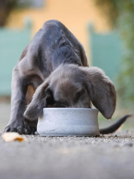 Laboni Comedero para mascotas Rocky, tamaños diferentes