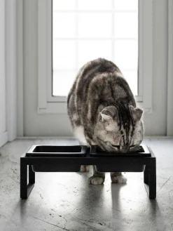 Yamazaki Comedero para mascotas Tower^ Accesorios Para Animales|Jarrones