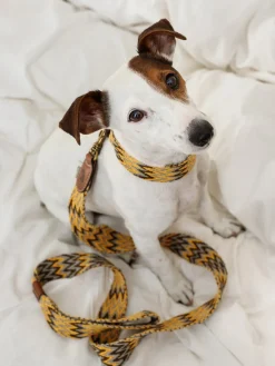 Buddys Dogwear Correa para mascotas artesanal Peruvian
