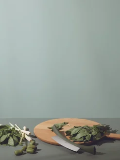 Eva Solo Cuchillo de pesaje Green Tool^ Cuchillos De Cocina Y Bloques|Cuchillos De Cocina