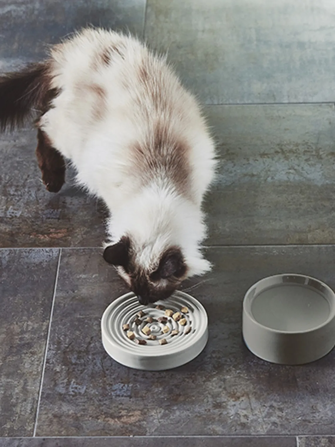 MiaCara Cuenco para mascotas de porcelana Piatto^ Accesorios Para Animales|Jarrones