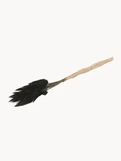 Cooee Design Flores secas Lagurus^ Jarrones|Flores Artificiales