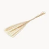 Cooee Design Flores secas Pampas