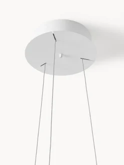 Martinelli Luce Lámpara de techo grande LED regulable Maggiolone
