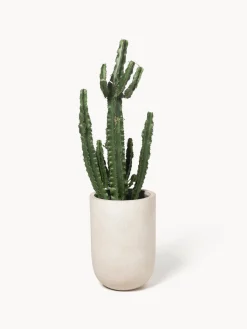 Westwing Collection Macetero de hormigón Tuscany, 49 cm