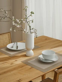 ASA Selection Manteles individuales de plástico Trefl, 2 uds.^ Manteles Individuales|Vajillas Completas