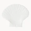 byon Plato postre de dolominta Shell