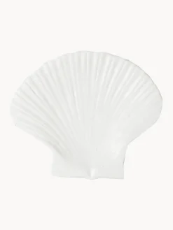 byon Plato postre de dolominta Shell