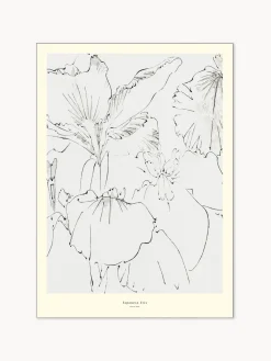 POSTER & FRAME Póster Japanese Iris