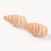 &k Amsterdam Salero y pimentero artesanales de dolomita Shell, 2 uds.
