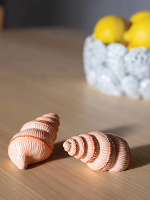 &k Amsterdam Salero y pimentero artesanales de dolomita Shell, 2 uds.