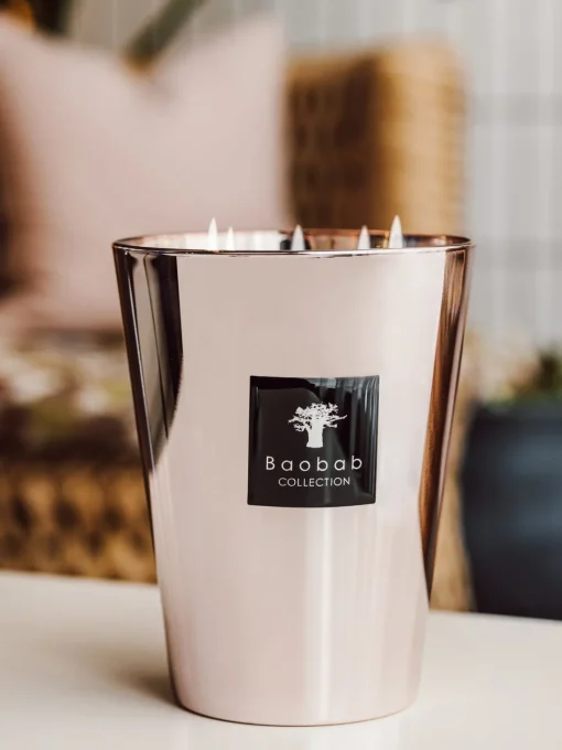 Baobab Vela perfumada de cinco mechas Exclusives (ámbar, nuez moscada, vetiver)^ Velas Perfumadas|Jarrones