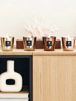 Baobab Vela perfumada Exclusives (ámbar, nuez moscada, vetiver)