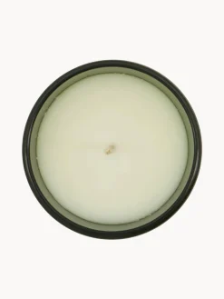 Meraki Vela perfumada pequeña Oud Leaf (rosa, madera de cedro, jazmín, lirio y lirio de los valles)
