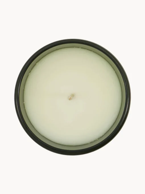 Meraki Vela perfumada pequeña Oud Leaf (rosa, madera de cedro, jazmín, lirio y lirio de los valles)